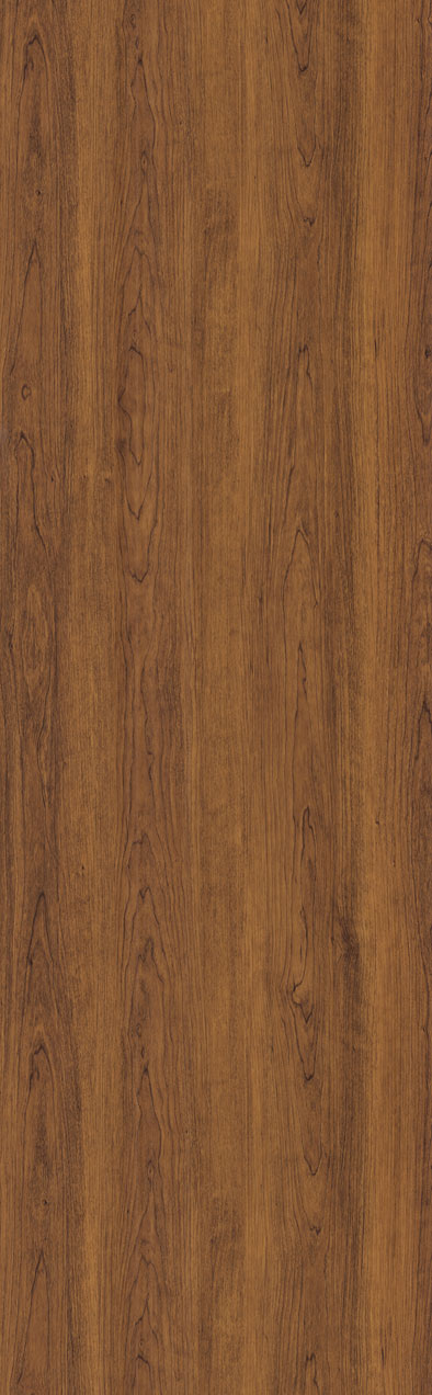 WPC Textured Doors TS - 105